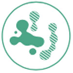 nano nivo antibakteriyel ve anti mikrobiyaldir